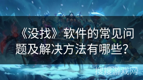 《没找》软件的常见问题及解决方法有哪些？