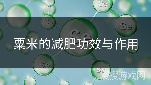 粟米的减肥功效与作用