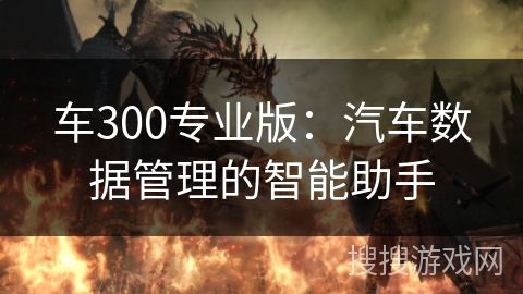 车300专业版：汽车数据管理的智能助手