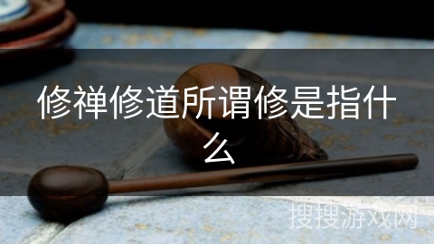 修禅修道所谓修是指什么