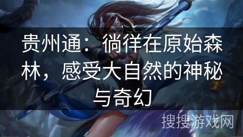 贵州通：徜徉在原始森林，感受大自然的神秘与奇幻
