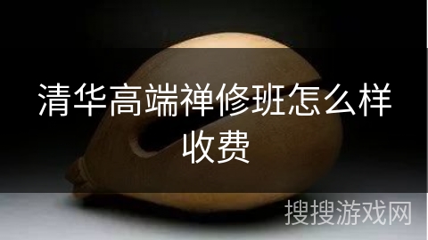 清华高端禅修班怎么样收费