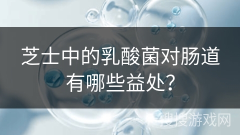 芝士中的乳酸菌对肠道有哪些益处？