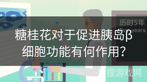 糖桂花对于促进胰岛β细胞功能有何作用？
