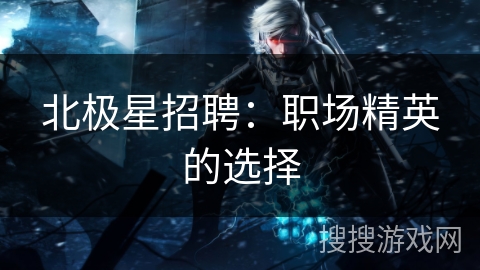 北极星招聘：职场精英的选择