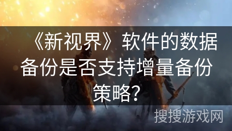 《新视界》软件的数据备份是否支持增量备份策略？