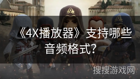 《4X播放器》支持哪些音频格式？