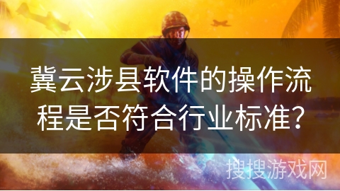 冀云涉县软件的操作流程是否符合行业标准？