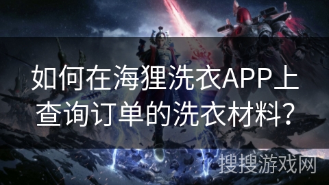 如何在海狸洗衣APP上查询订单的洗衣材料？