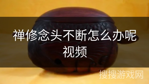 禅修念头不断怎么办呢视频