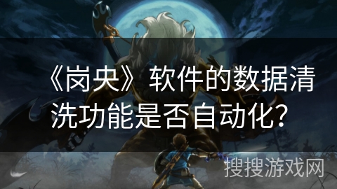 《岗央》软件的数据清洗功能是否自动化？