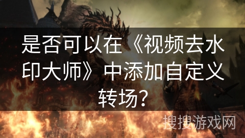 是否可以在《视频去水印大师》中添加自定义转场？