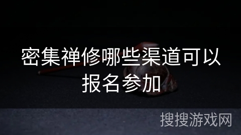 密集禅修哪些渠道可以报名参加