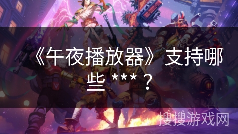 《午夜播放器》支持哪些 *** ？