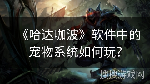 《哈达咖波》软件中的宠物系统如何玩？