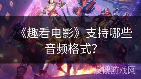 《趣看电影》支持哪些音频格式？