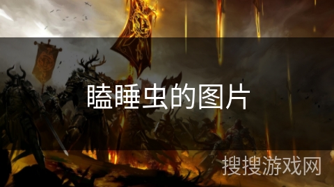 瞌睡虫的图片