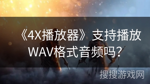 《4X播放器》支持播放WAV格式音频吗？