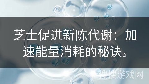 芝士促进新陈代谢：加速能量消耗的秘诀。