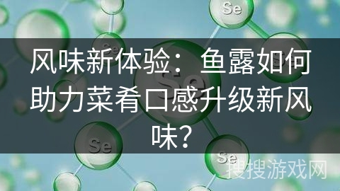 风味新体验：鱼露如何助力菜肴口感升级新风味？