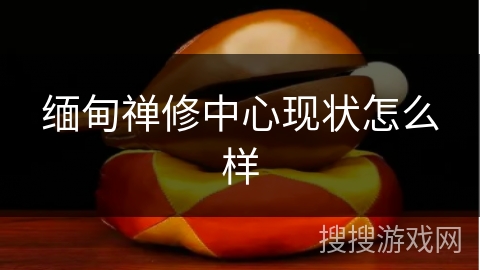 缅甸禅修中心现状怎么样