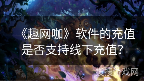 《趣网咖》软件的充值是否支持线下充值？