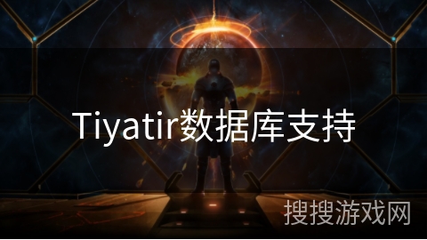 Tiyatir数据库支持