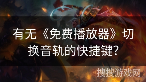 有无《免费播放器》切换音轨的快捷键? 有无《免费播放器》切换音轨的快捷键?
