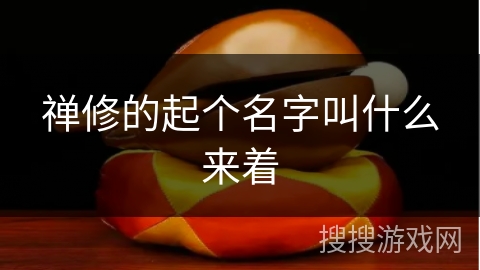 禅修的起个名字叫什么来着