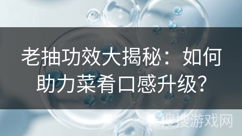 老抽功效大揭秘：如何助力菜肴口感升级？