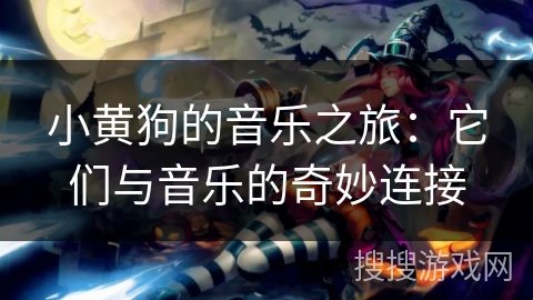 小黄狗的音乐之旅：它们与音乐的奇妙连接