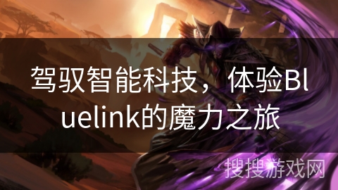 驾驭智能科技，体验Bluelink的魔力之旅