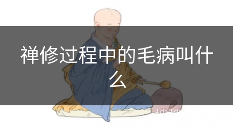 禅修过程中的毛病叫什么
