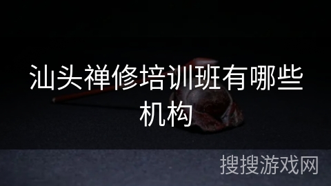 汕头禅修培训班有哪些机构