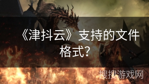 《津抖云》支持的文件格式？