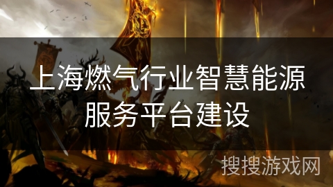 上海燃气行业智慧能源服务平台建设