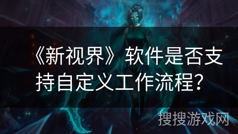 《新视界》软件是否支持自定义工作流程？