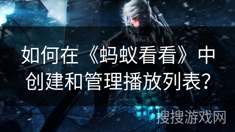 如何在《蚂蚁看看》中创建和管理播放列表？