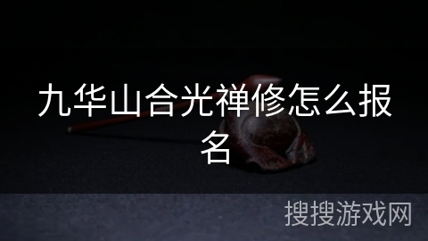 九华山合光禅修怎么报名