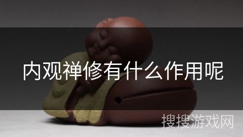 内观禅修有什么作用呢