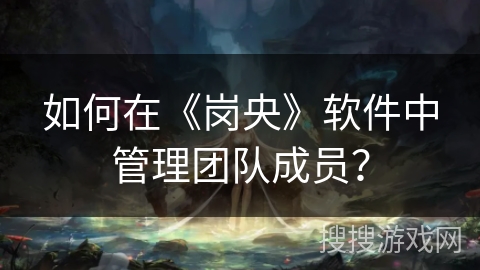如何在《岗央》软件中管理团队成员？