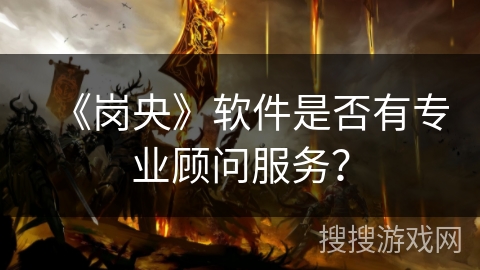 《岗央》软件是否有专业顾问服务？