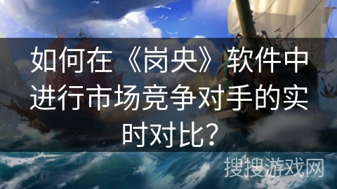 如何在《岗央》软件中进行市场竞争对手的实时对比？