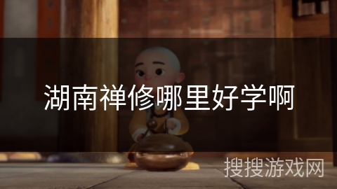 湖南禅修哪里好学啊