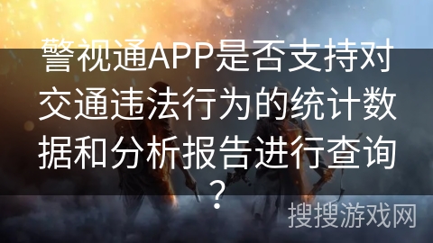警视通APP是否支持对交通违法行为的统计数据和分析报告进行查询？