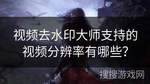 视频去水印大师支持的视频分辨率有哪些？