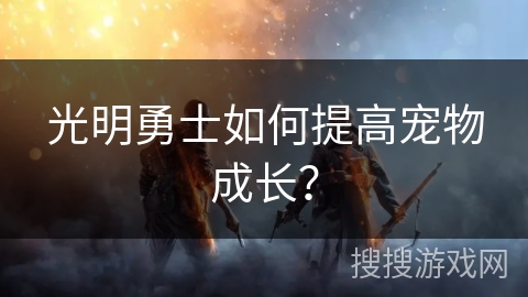 光明勇士如何提高宠物成长？