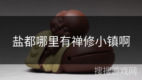 盐都哪里有禅修小镇啊