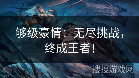 够级豪情：无尽挑战，终成王者！