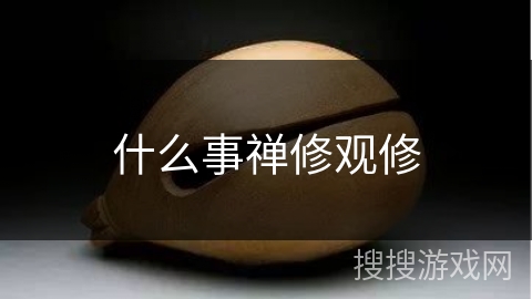 什么事禅修观修